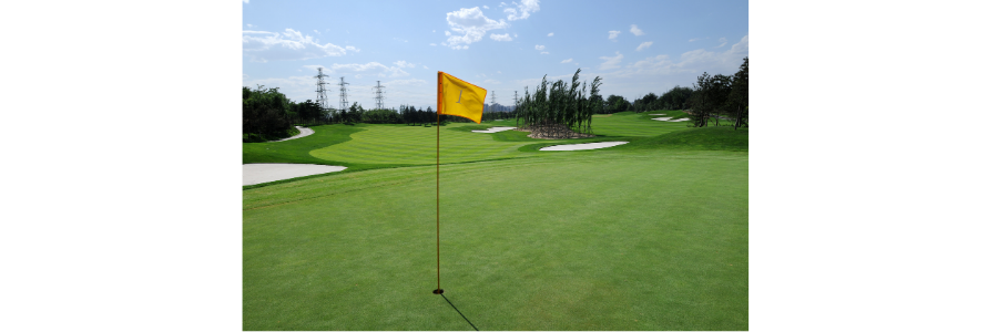 Put Your Swing To Work At These Beginner-Friendly Golf Courses