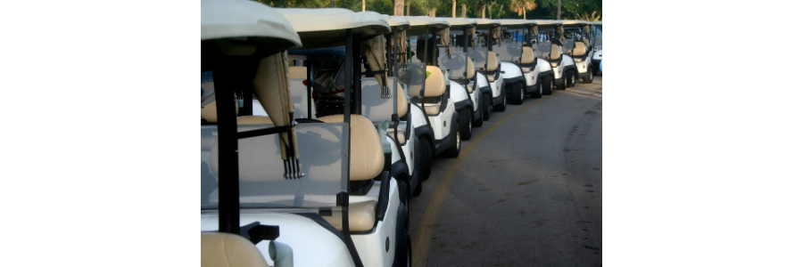 It takes a lot of research and dedication to purchase golf carts in bulk